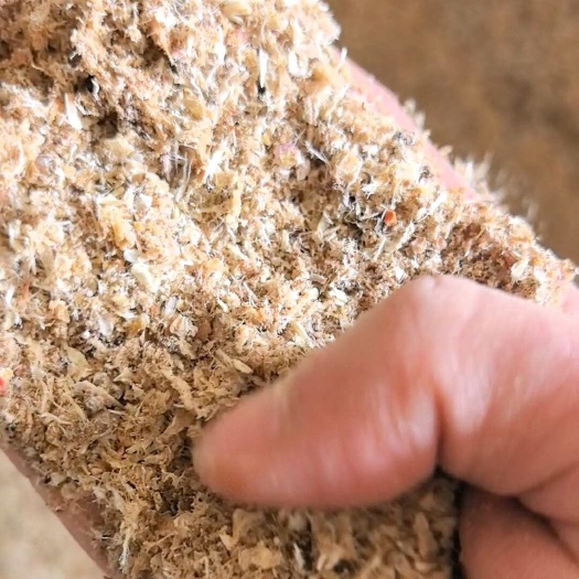 纯鱼粉 补充蛋白饲料原料含多种微量元素等营养厂家直销清晰可见