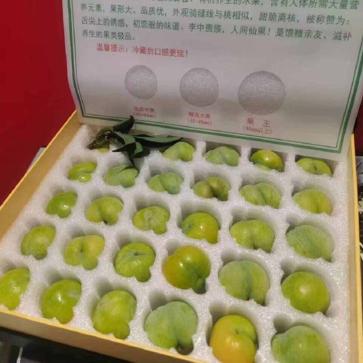 镇宁县蜂糖李