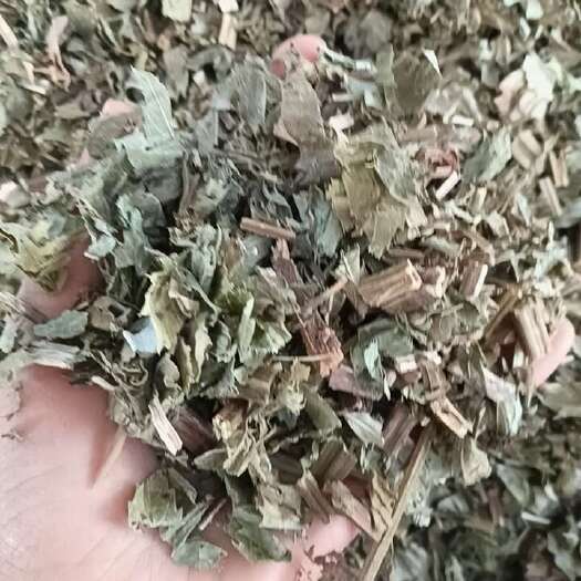 玉林泽兰