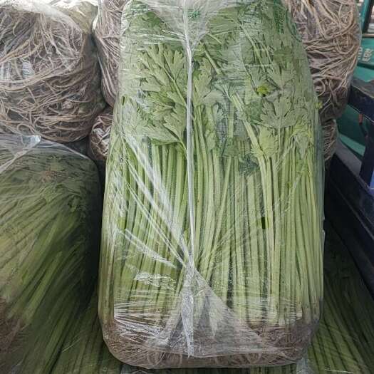 淮安精品香芹，48公分
