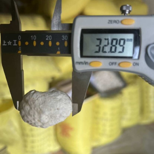 西和县甘肃西和高含量清半夏切片专用种子