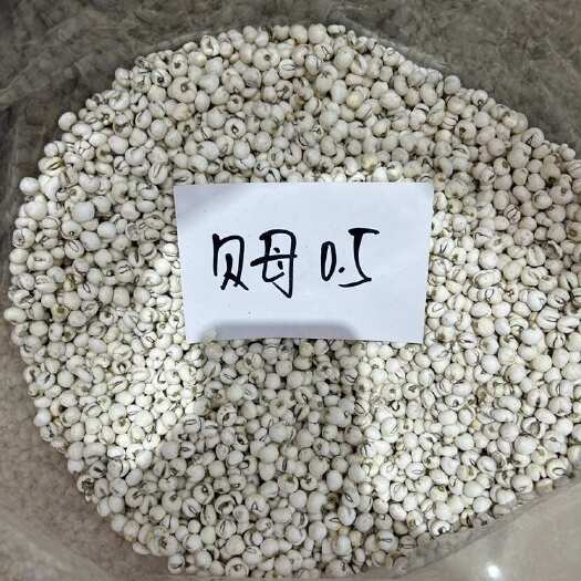 现货批发贝母多种规格1斤起包邮