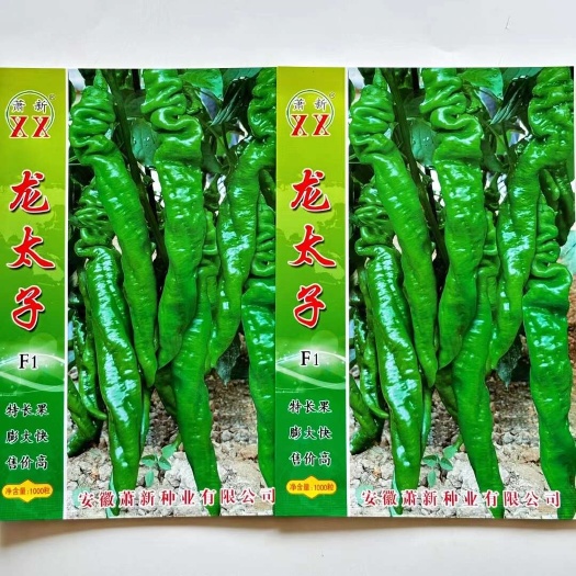 沭阳县龙太子螺丝椒种子羊角型种籽早熟粗长羊角型高产抗病顺直螺丝椒
