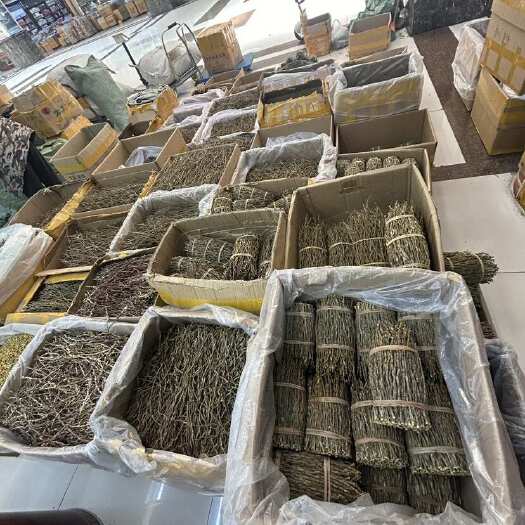 昆明云南铁皮石斛捆条现货批发整件起价格优惠