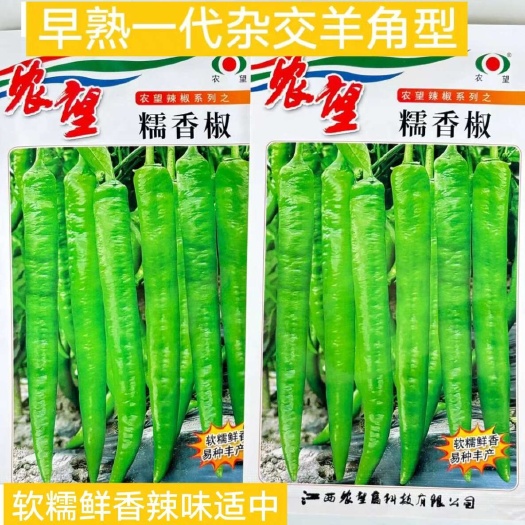 沭阳县农望糯香椒辣椒种子早熟薄皮羊角椒种子尖椒种籽香辣无渣抗病丰产