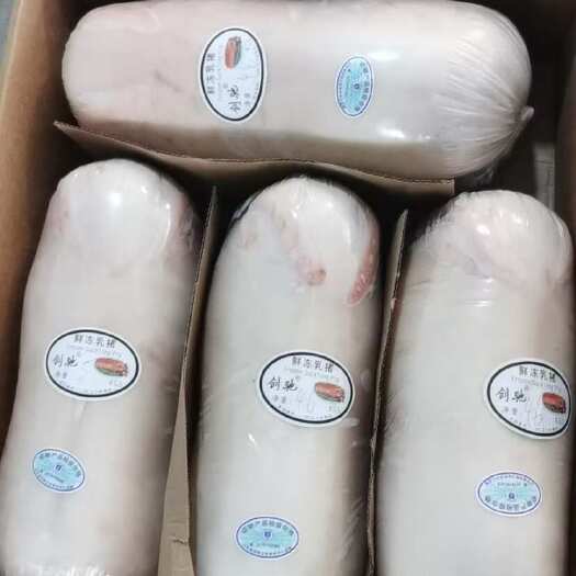 乳猪