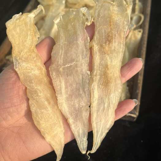 汕头水晶赤嘴鳘鱼胶自晒花胶日常滋补