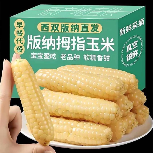 景洪市西双版纳拇指小玉米软糯香甜承接电商微商商超精品一件代发