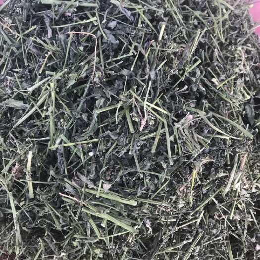 永城市干品 老荠菜   切段自然晒干