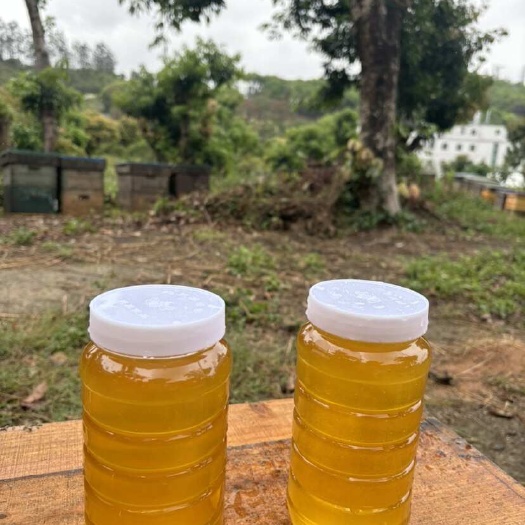 荔枝蜜