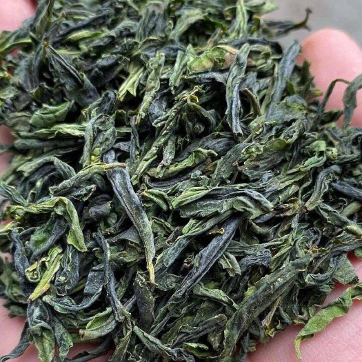 六安瓜片断片500克 雨前六安瓜片齐山瓜片齐山蝙蝠洞金寨瓜片