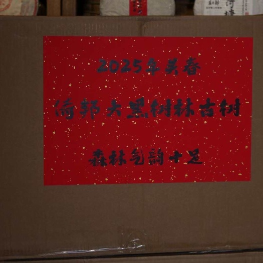 2025头春第一波倚邦古树大黑树林生散