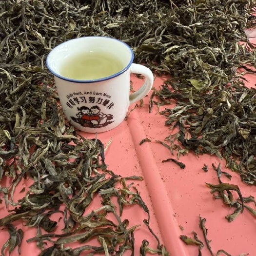 昆明2025年春茶、散茶