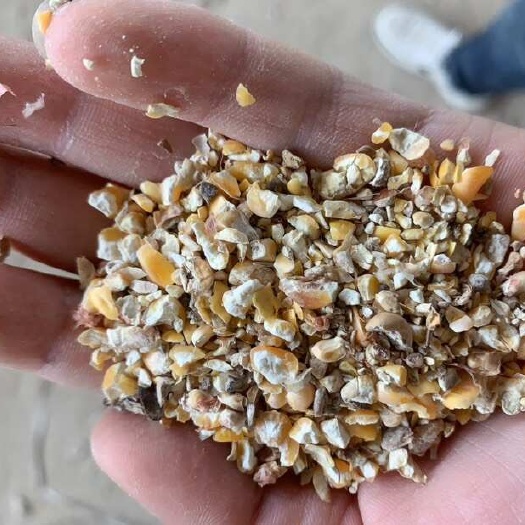 衡阳碎玉米净粮