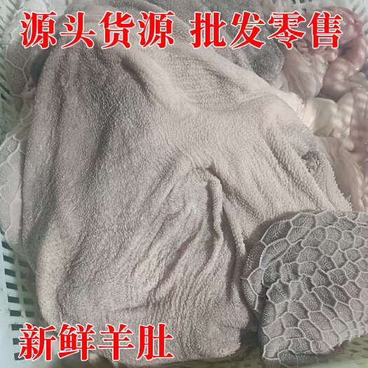 北流市羊肚 新鲜羊肚 整羊肚带金钱百叶 肚包肉原材料