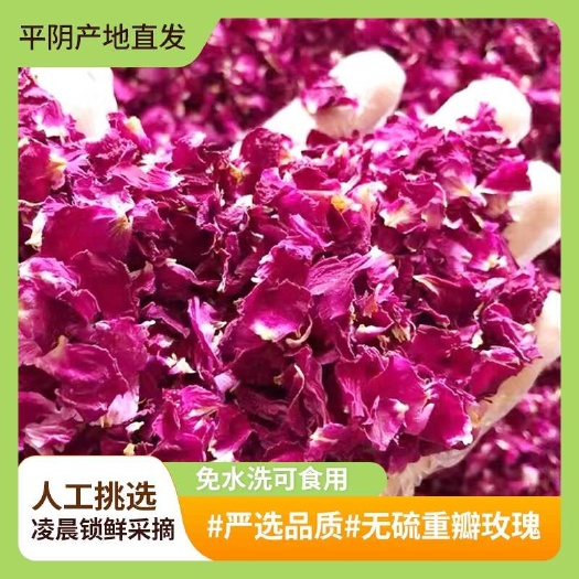 玫瑰花茶 山东平阴食用级玫瑰花瓣玫瑰花茶干玫瑰泡茶烘焙