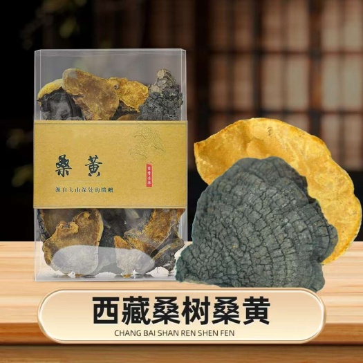 【西藏波密桑黄】桑树桑黄中药材无硫桑黄金黄肉质紧实包邮
