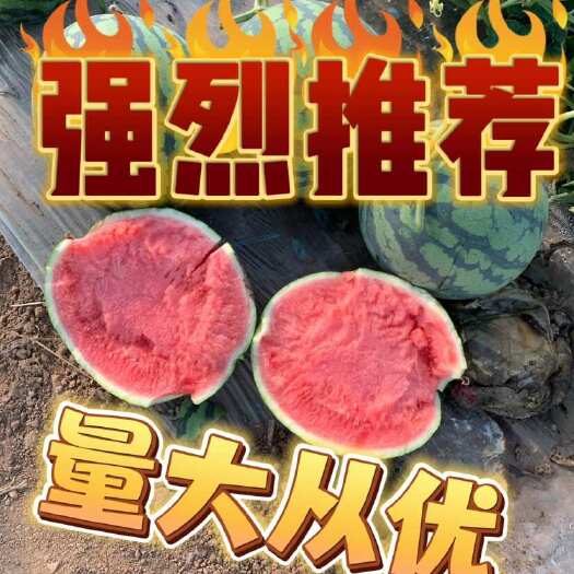 夏邑县河南夏邑万亩大棚美都麒麟西瓜，大量供应中。欢迎来产地考察。