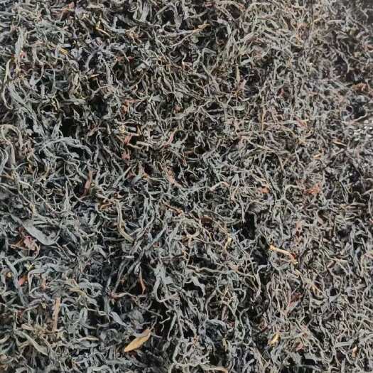 昆明2025年新茶野生红茶