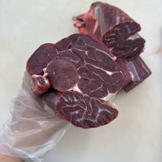 阳信县国产纯干精修牛腱子，现宰现卖