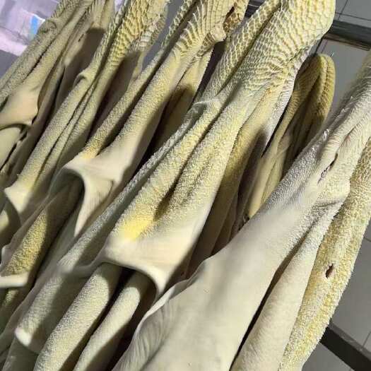 黔西市牛大肚 7成熟 牛肚 白牛肚 精修去油 高品质新鲜牛肚