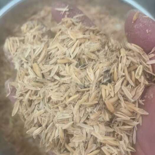 东莞市燕麦壳
