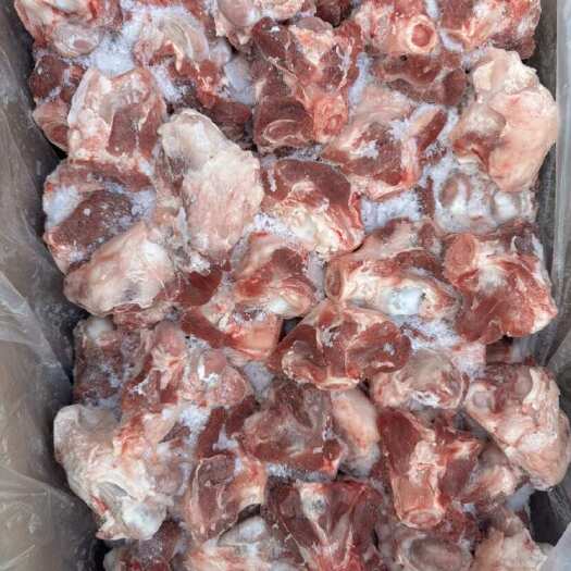 河间市羊窝骨 羔羊窝骨有肉吸骨髓 ，羊棒骨锅食材
