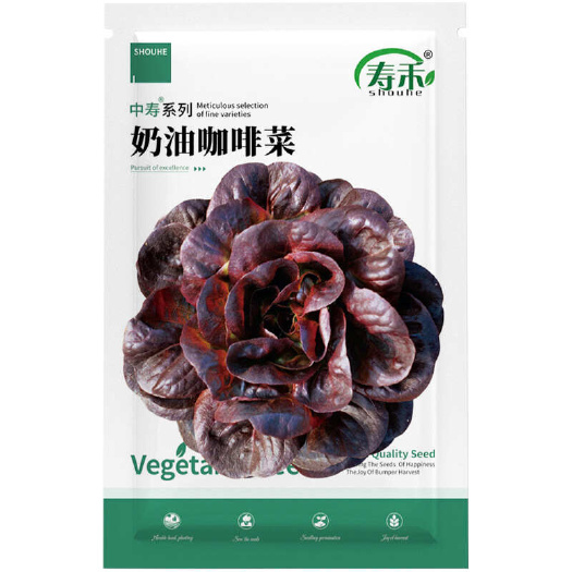 四季奶油咖啡生菜种子国外引进农田菜园可盆栽沙拉菜紫叶生菜籽