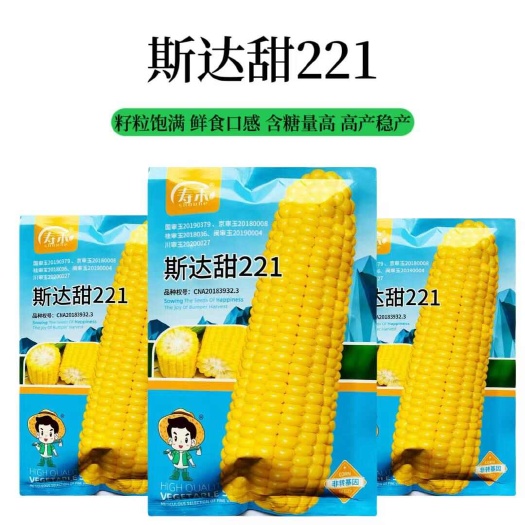 沭阳县海迈斯达甜221水果玉米种子鲜食黄甜水果玉米种子大田基地可用