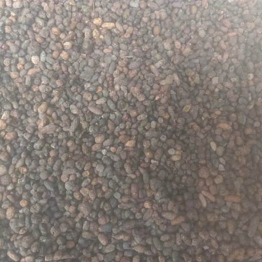 重庆市五灵脂中药材 重庆黔江优质货源 直发新鲜干品 动物类药材批发
