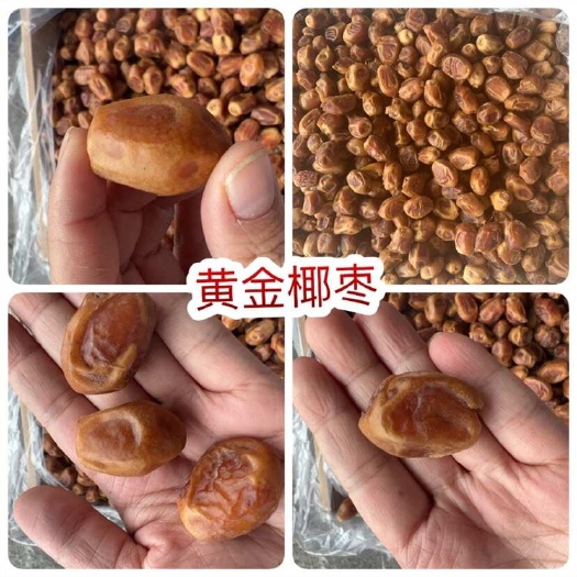 佛山黄金椰枣阿联酋伊拉克枣地摊电商批发黄金椰枣干干椰