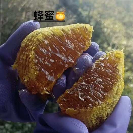 景谷县蜂蜜 云南大山百花蜜 野生蜜 瓶装波美度42一手货发全国包邮