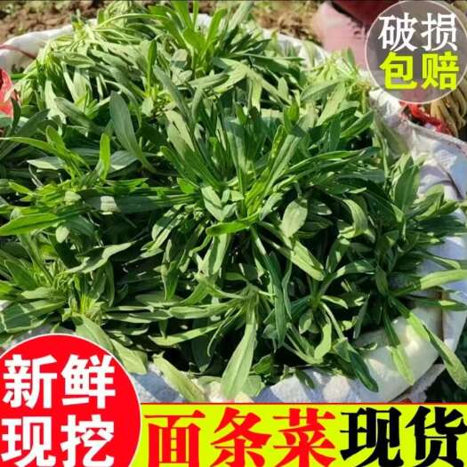 莘县面条菜