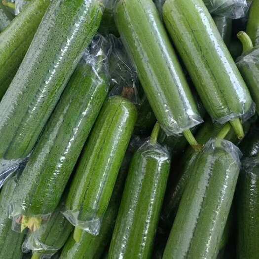 南宁广西南宁水瓜主产区