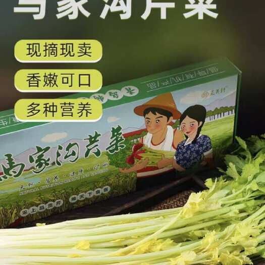 平度市马家沟芹菜精品嫩芯山东青岛平度特产新鲜西芹蔬菜2斤芹菜芯顺丰
