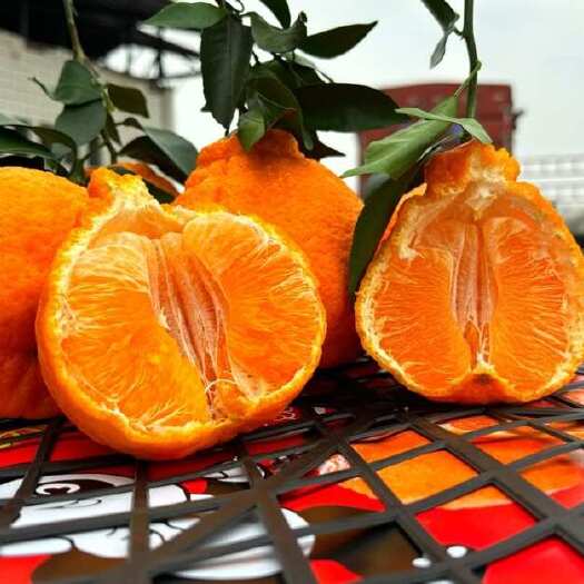 丹棱县丹棱产区自家果园不知火高端货现摘现发鲜果供应