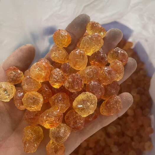 宜城市人工精修剪颗粒桃胶！干净，黄靓！原产地批发！
