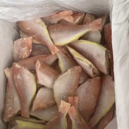 深圳无头三鱼