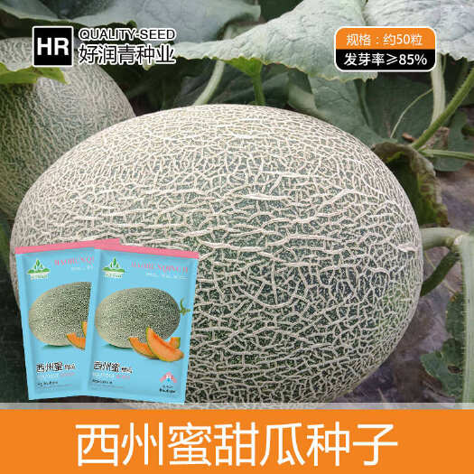 西州蜜哈密瓜种子新疆网纹瓜口感香甜耐贮运肉质鲜嫩爽口