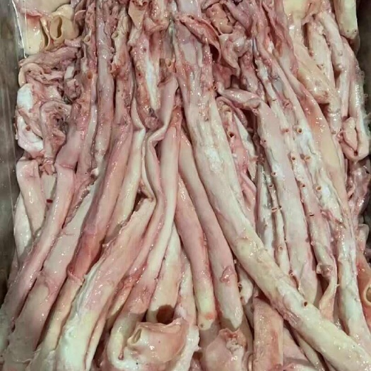 商丘白管