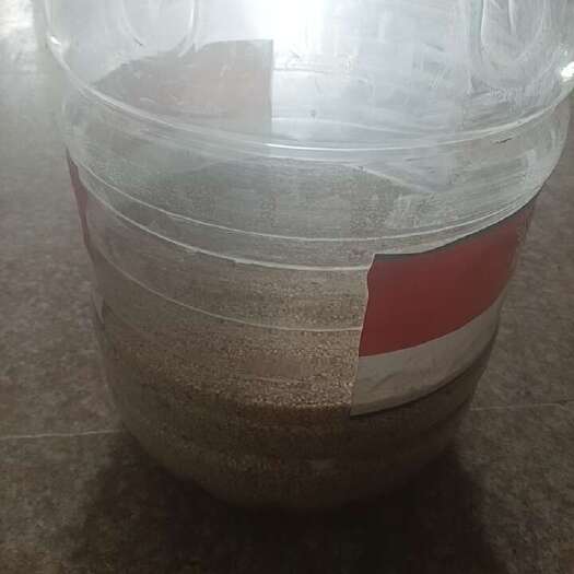 湘乡市芝麻自家种的，