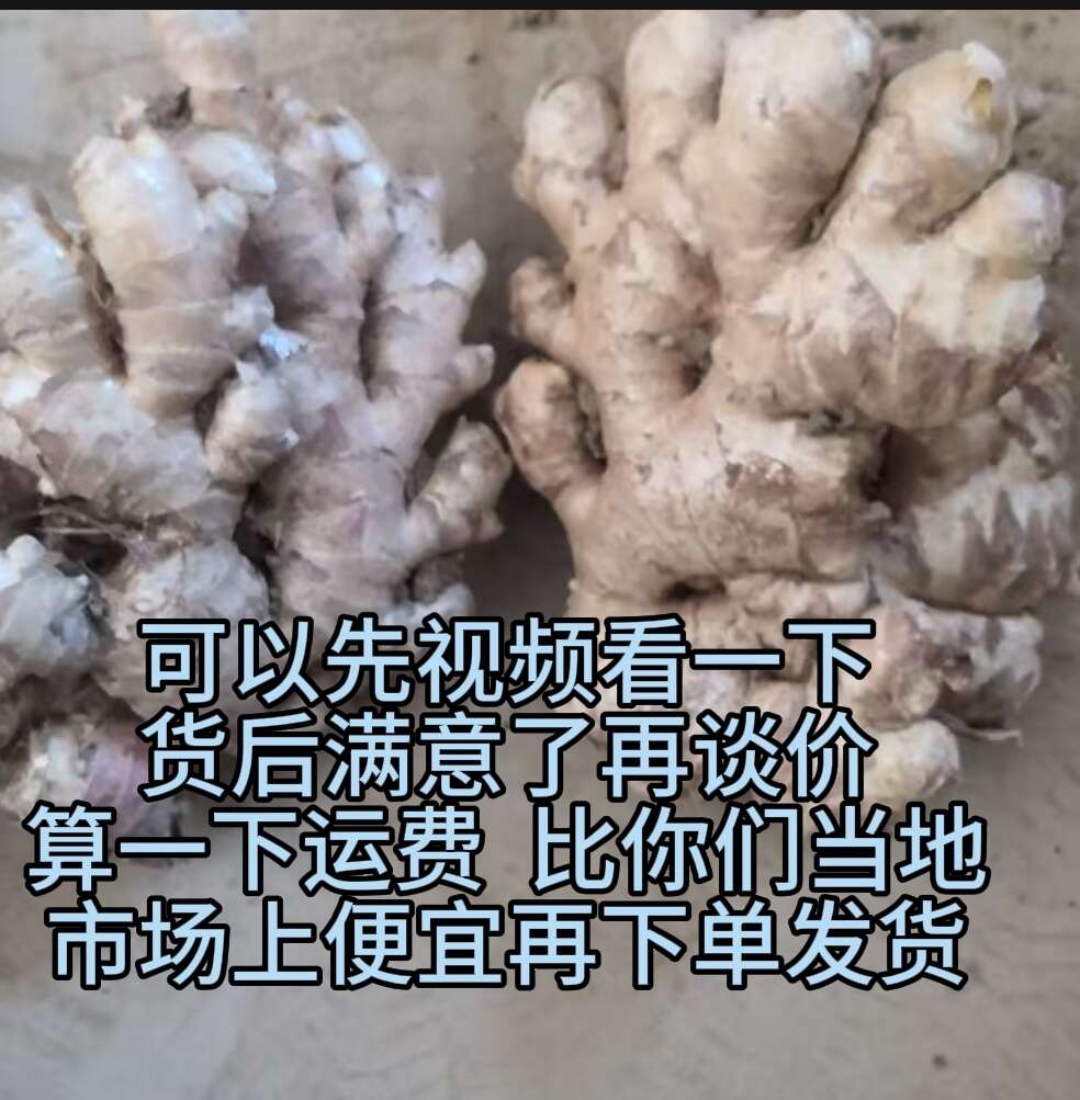 云南小黄姜生姜老姜电商货市场货通货精选货。自用、摆摊零售批发