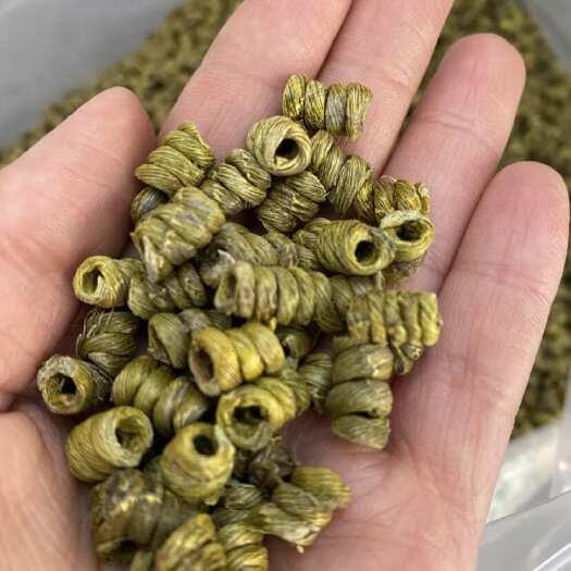 霍山县铁皮石斛，看品如图