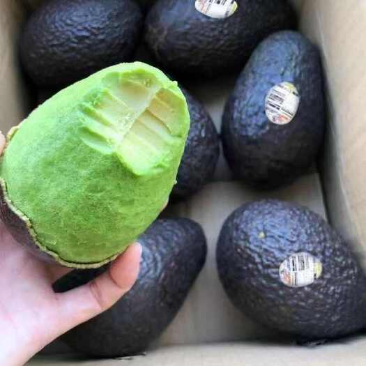 广汉市6个大果牛油果新鲜当季包邮一整箱鳄梨婴儿宝宝辅食牛油果