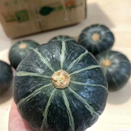夏津县贝贝南瓜  产地直发 支持定制重量颜色多样发货灵活坏损包赔