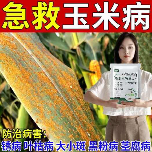栾川县玉米杀菌剂玉米病专用锈病茎腐病炭疽病顶腐病黄叶卷叶玉米病全治