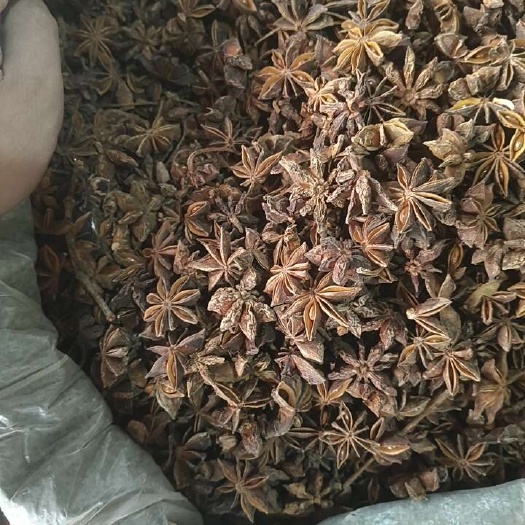 中牟县云南大红全干