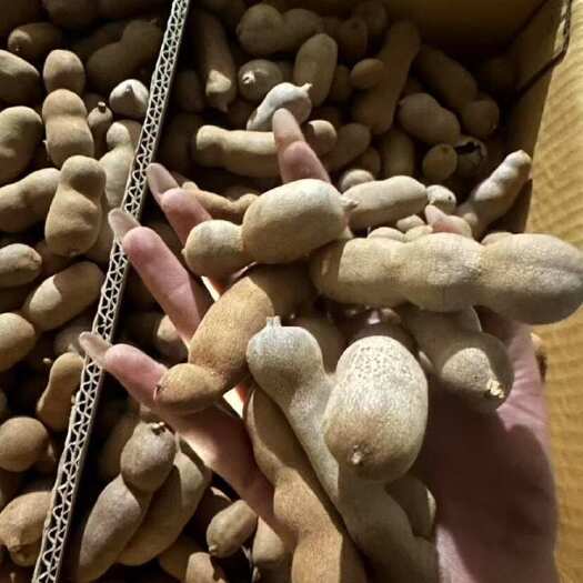 商丘云南酸甜角价格便宜卷死同行
