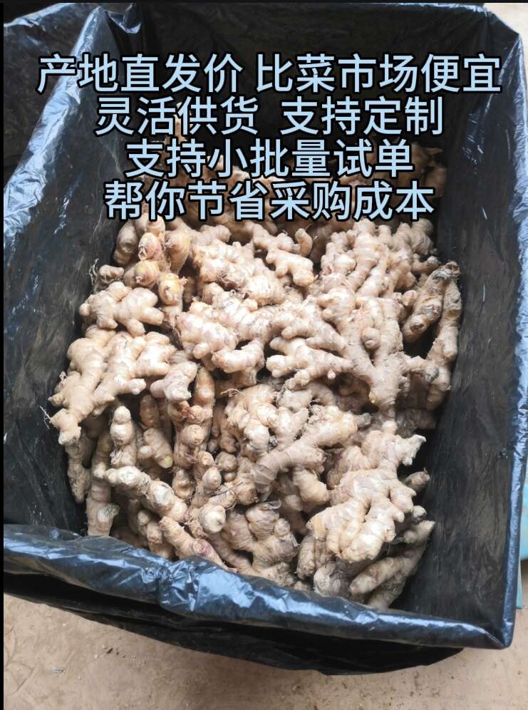 云南小黄姜生姜老姜
（标价是零售价，批发更便宜，请联系详谈）