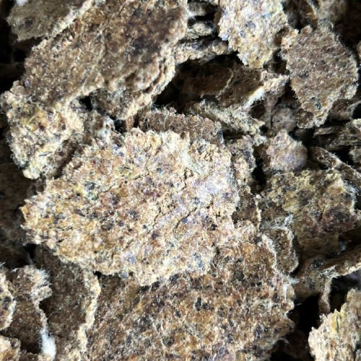 郓城县这款棉籽饼，不仅是牲畜饲料，更是养殖路上的得力助手